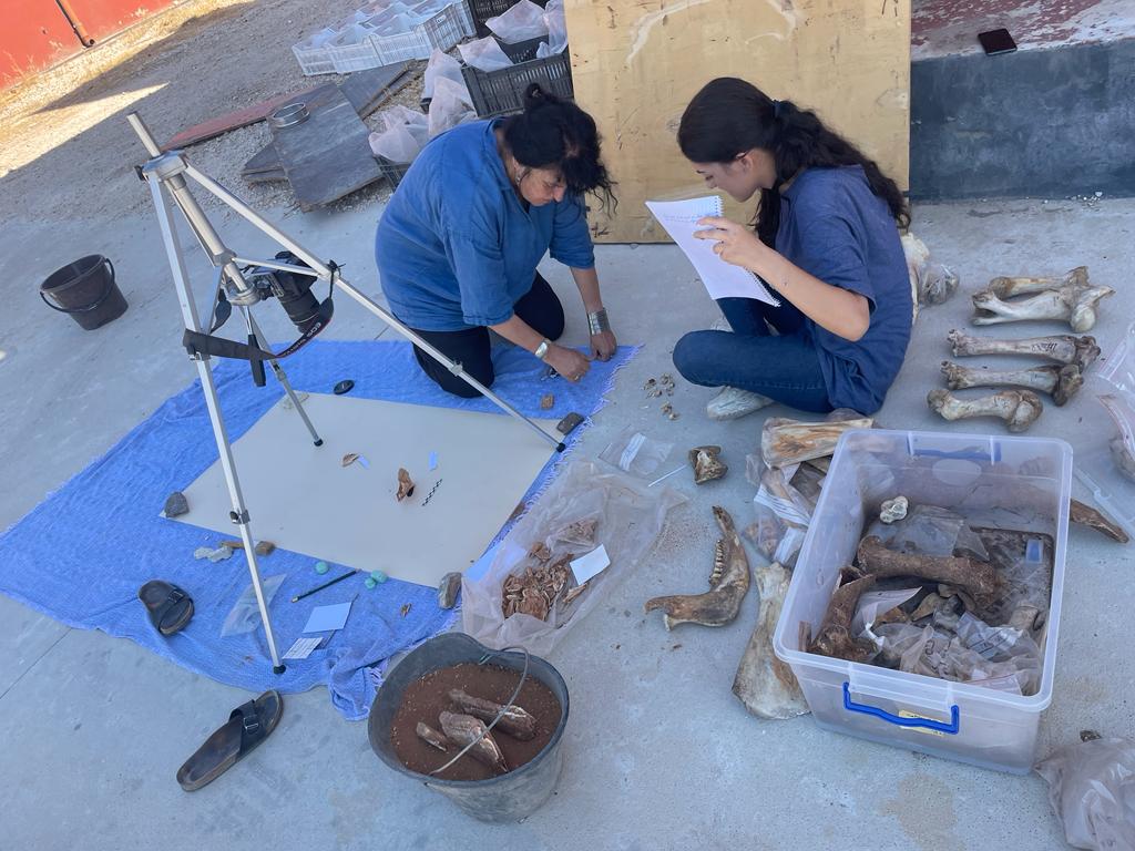 Archaeozoologie 2023